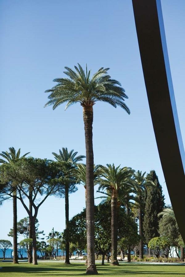 Centrale 2 - F4 Spacieux Et Confortable Au Centre Du Vieux-Nice Apartamento Exterior foto